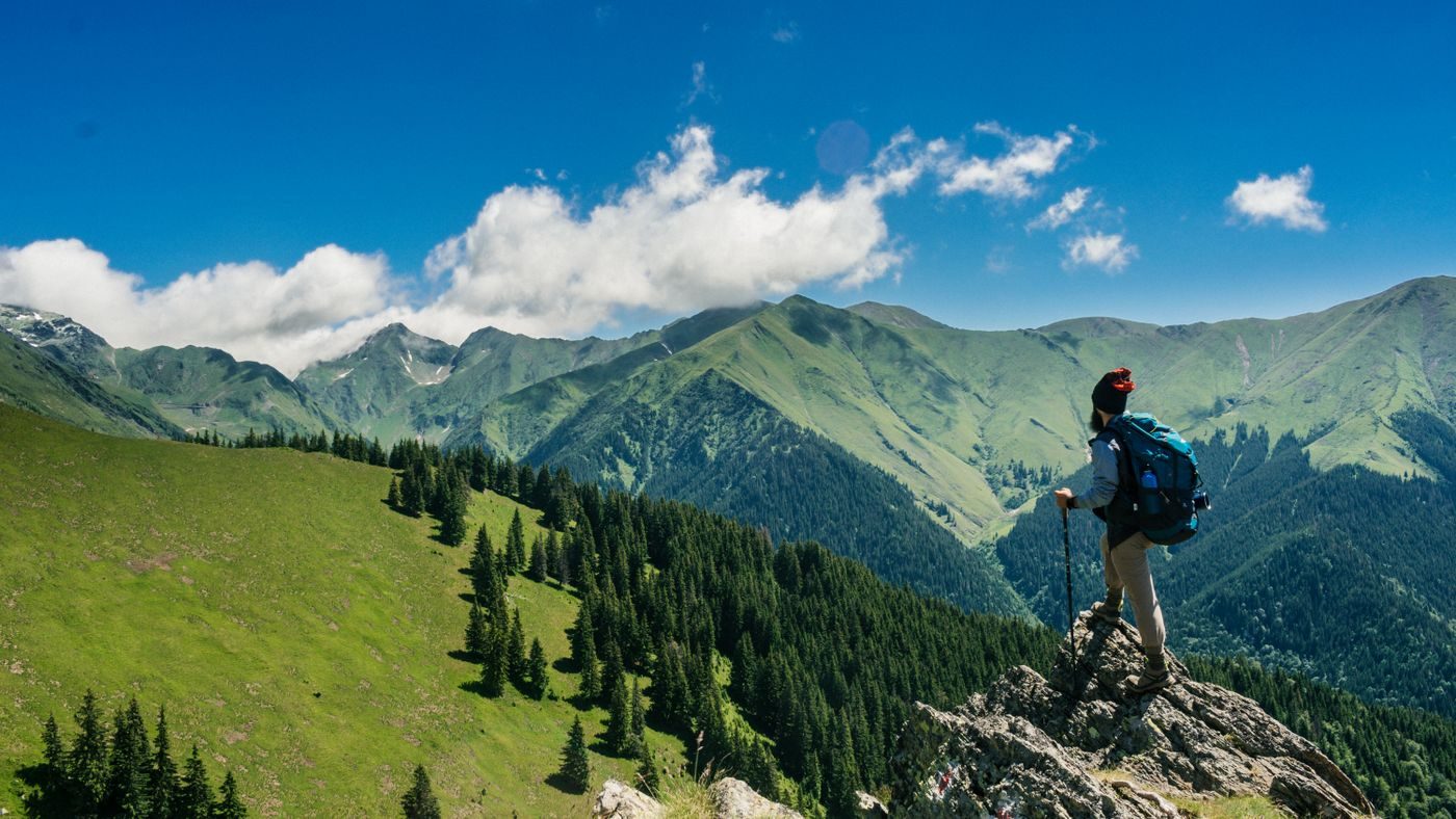 Servizi di viaggio